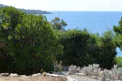 Vue-mer-banner
